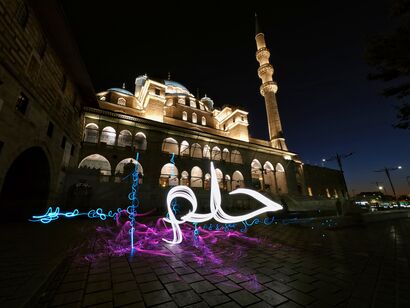 Arabic Flowers - Istanbul Flowers - a Photographic Art Artowrk by Roywang